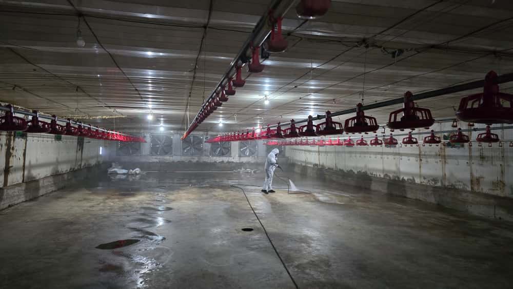 Kümes Dezenfeksiyonu